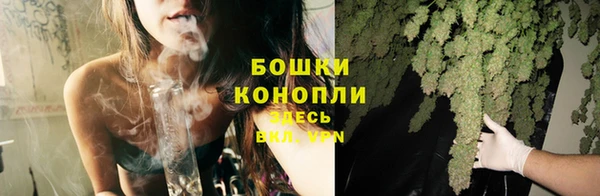 спайс Ельня