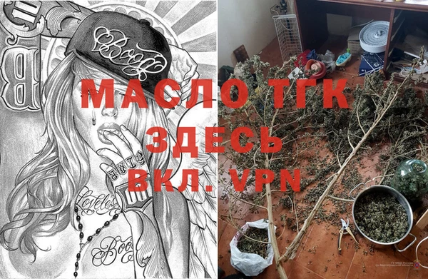 спайс Ельня