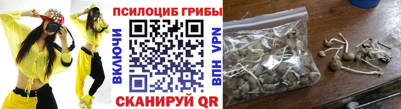 Купить  Кологрив  Псилоцибиновые грибы Psilocybine cubensis 